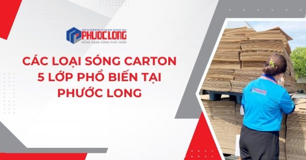 Các Loại Sóng Carton 5 Lớp Phổ Biến Tại Phước Long